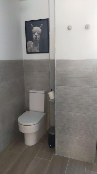 Apartamento Laurana Σανταντέρ Εξωτερικό φωτογραφία